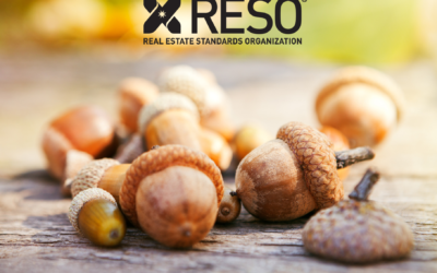 Unpacking Updated Standards & Must-Read Member News! RESO Weekly 11/24/20